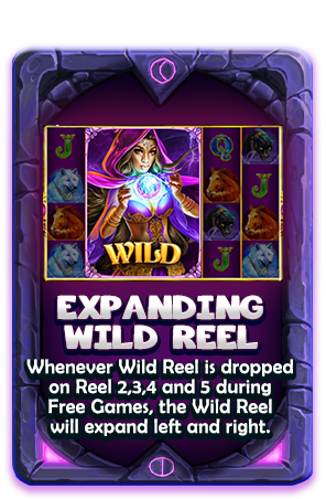 ការពង្រីក Wild Reel-icon