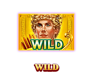 Wild-icon