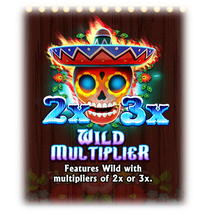 Wild Multiplier-icon