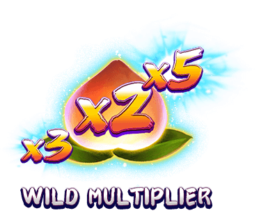 Wild Multiplier-icon